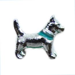 Charm perrito azul