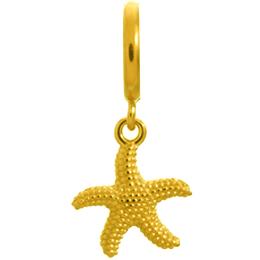 Estrella de Mar Dorada