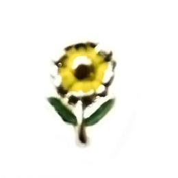 charm girasol