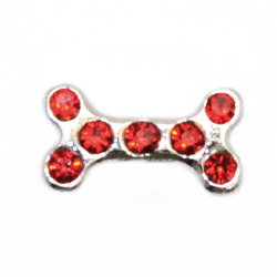 charm hueso piedras rojas